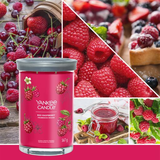 27728981