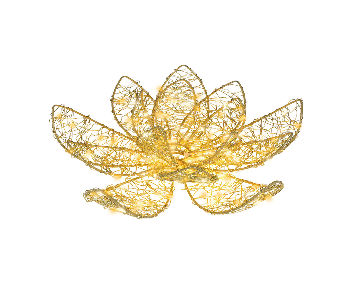 49542795