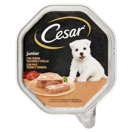 Cesar Junior Cibo Umido Cane in Vaschetta con Tenero Tacchino e Vitello 150 g (25522085)
