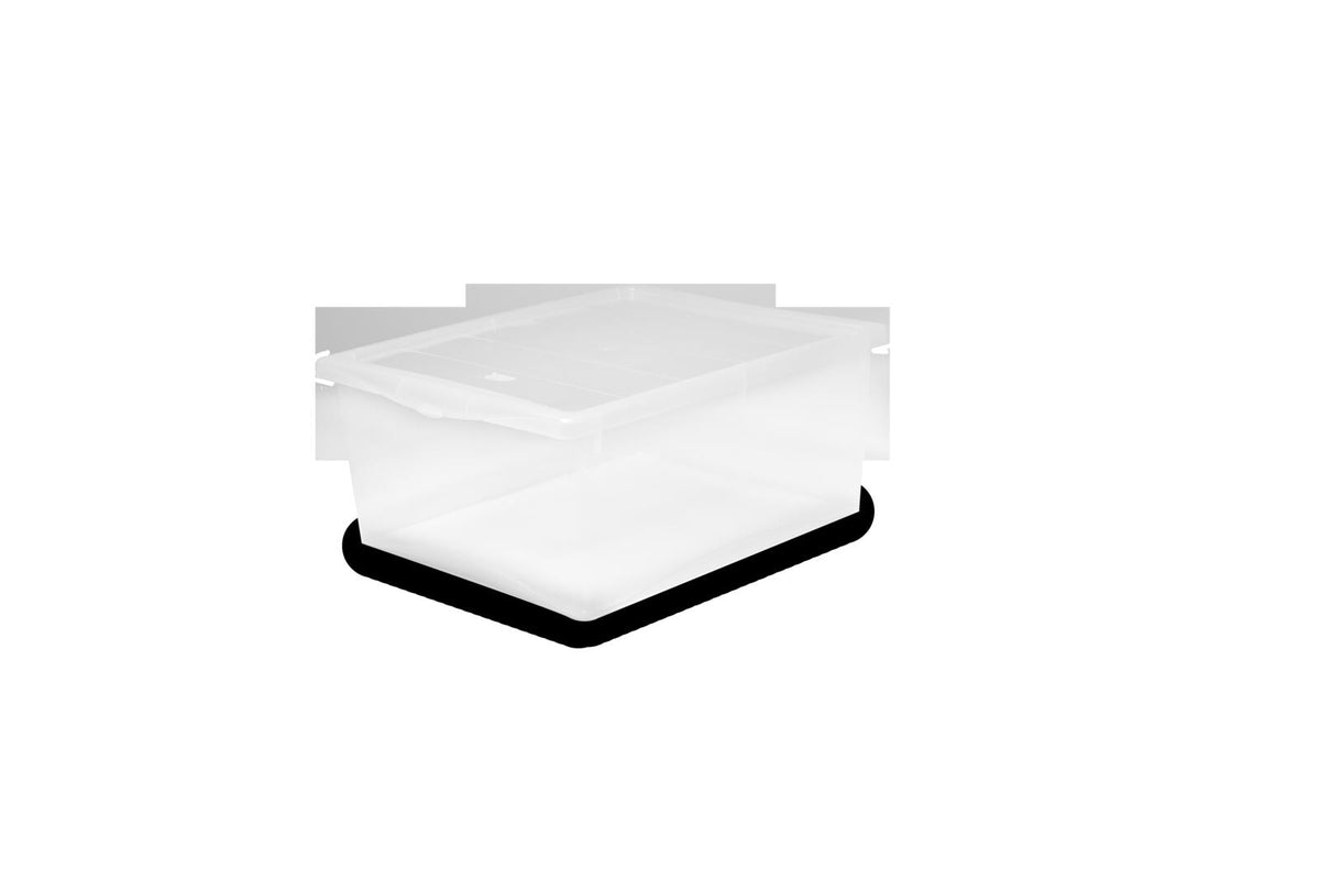STORAGE BOX SPRING - M - NEUTRO - LT 21 (25608487)
