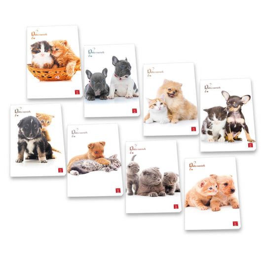 MAXI QUAD.DOLCI CUCCIOLI FF.42 VAR.1R (25558089)